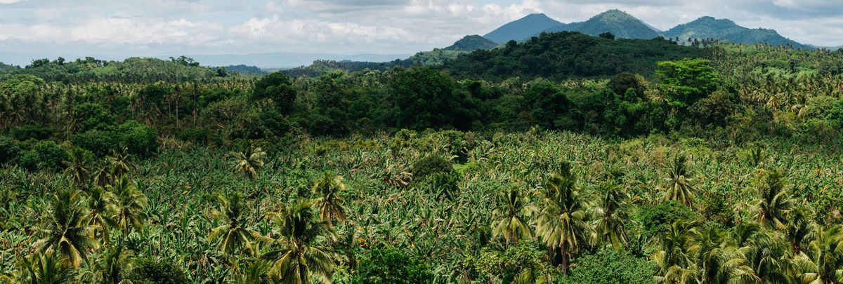 San Antonio Farms, Limao, Laguna — view of the valley bordered by three mountains